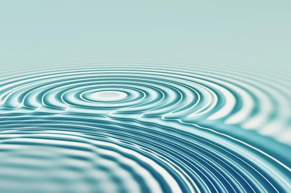 Casino All In Assistance